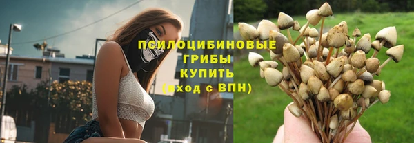 PSILOCYBIN Михайлов
