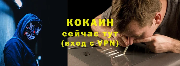 PSILOCYBIN Михайлов