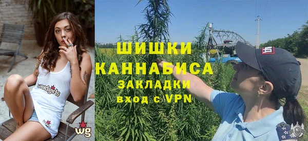PSILOCYBIN Михайлов
