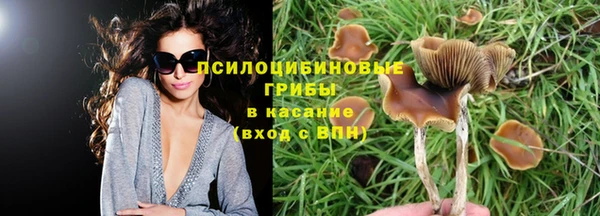 прущие крисы Михайловка